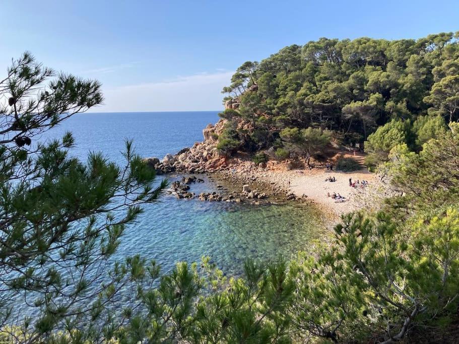 Bandol Roc Beach Vue Mer Grand T3 Face A La Plage Avec Parking المظهر الخارجي الصورة